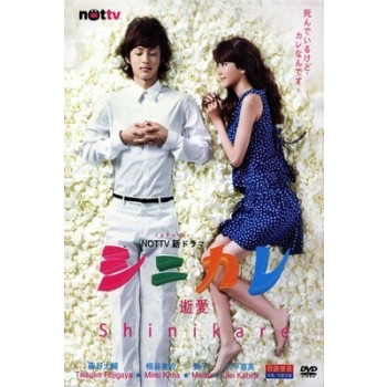 シニカレ完全版 DVD-BOX