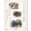 NHKが記録した皇室 DVD-BOX